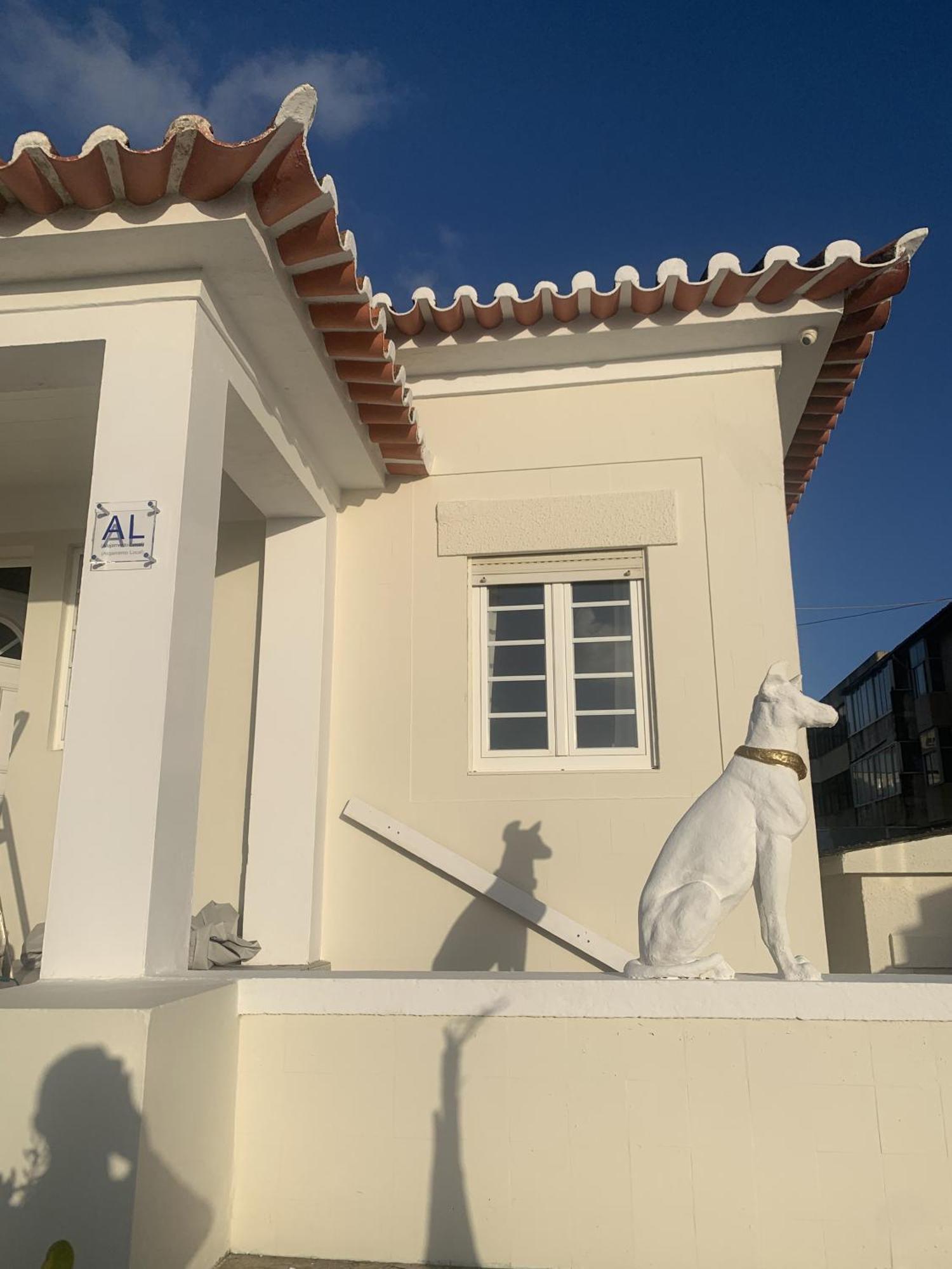 Casa Do Cao Da Praia Do Furadouro Οβάρ Εξωτερικό φωτογραφία